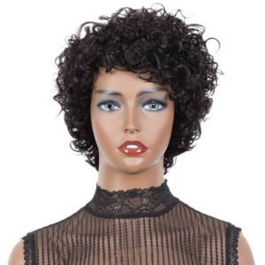 Short Curly Wig Human Hair For Women